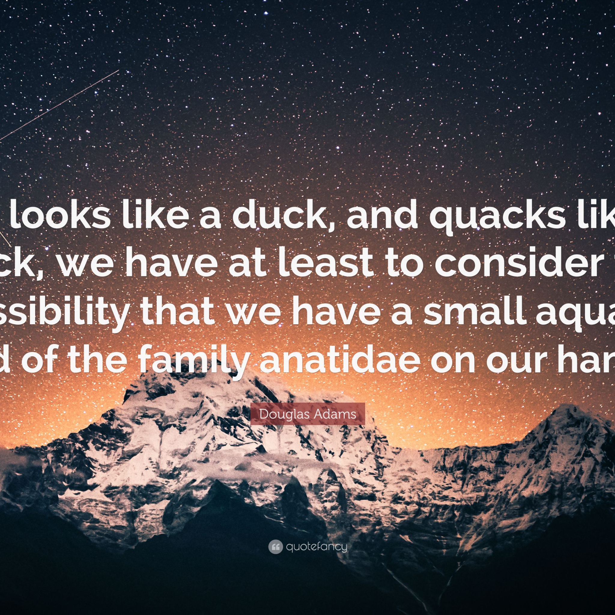 2075494-Douglas-Adams-Quote-If-it-looks-like-a-duck-and-quacks-like-a-duck.jpg
