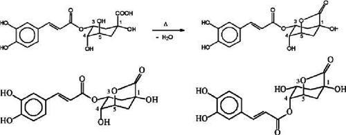 Figure-3-Formation-of-a-15-g-quinolactone-from-chlorogenic-acid-during-roasting-A.jpg