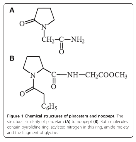 noopept-vs-piracetam.png