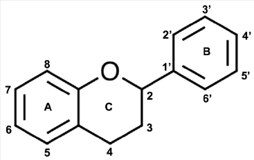Figure-1-Flavonoid-ring-structure-and-numbering.png