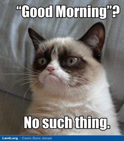 grumpy-cat-meme-good-morning-no-such-thing_large.jpg