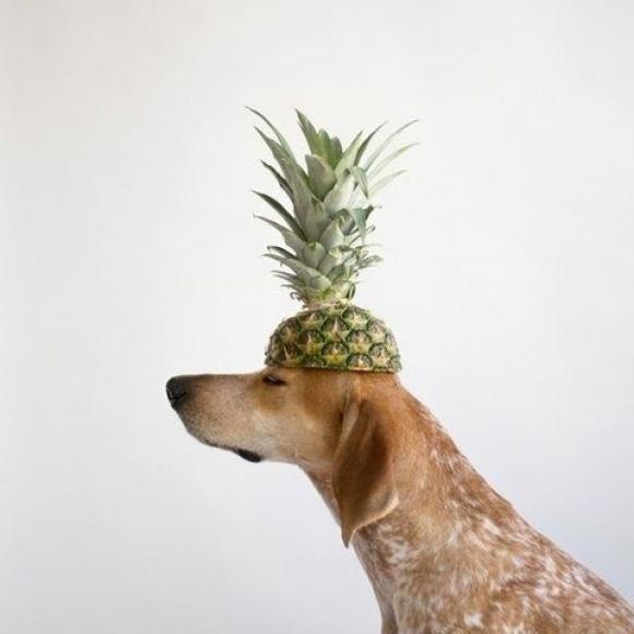 l-Pineapple-head.jpg