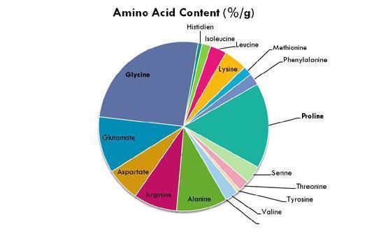 nutra-amino-acids.jpg