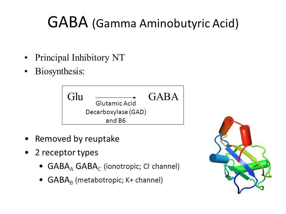 GABA+%28Gamma+Aminobutyric+Acid%29.jpg