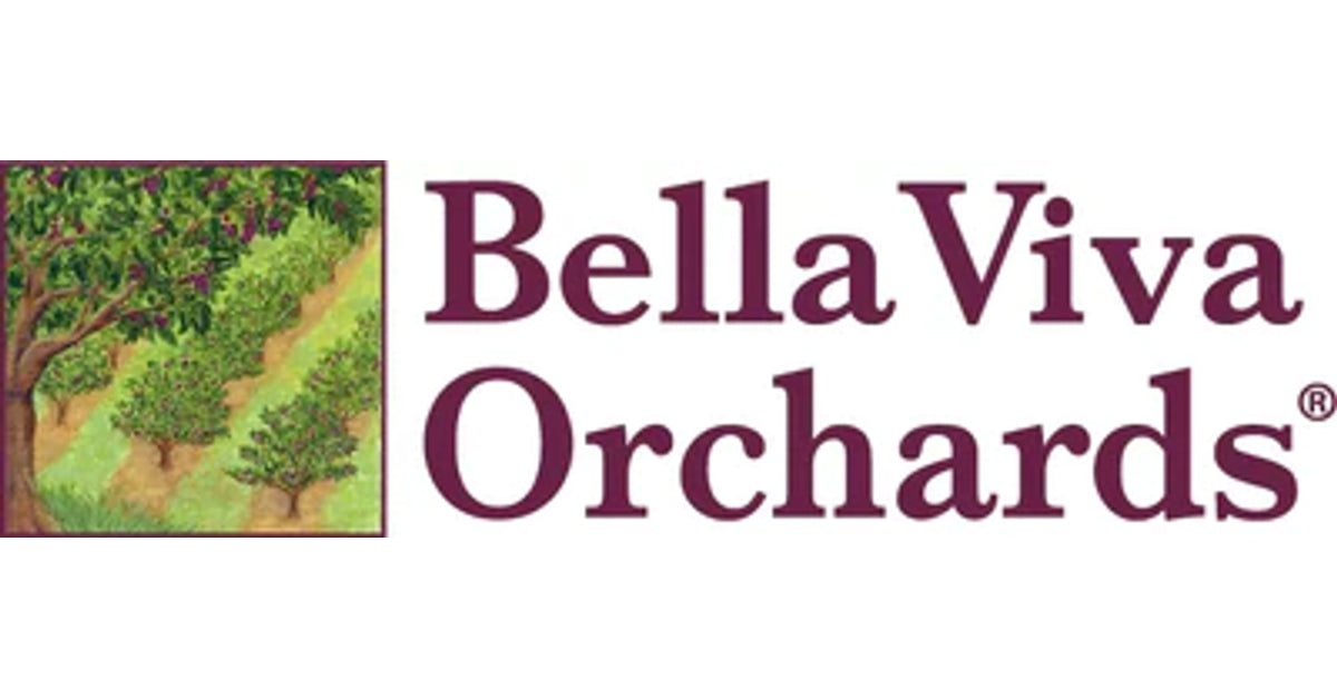 www.bellaviva.com