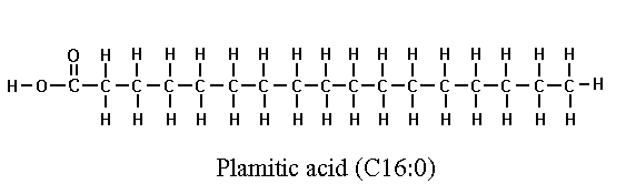 palmitic%20acid.GIF