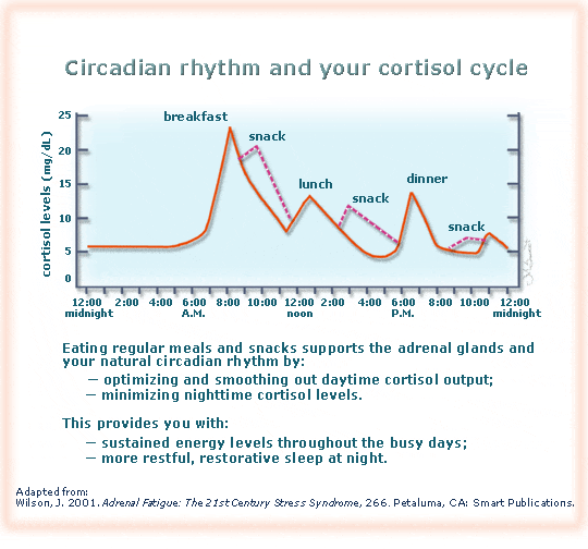cortisol-diurnal-meal-effects1.gif