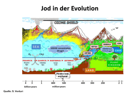 jod-in-der-evolution-464x315.png