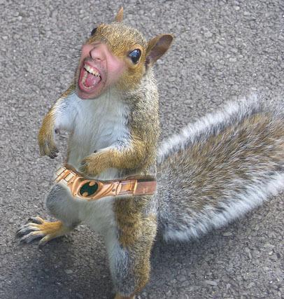 squirrelman-copy.jpg