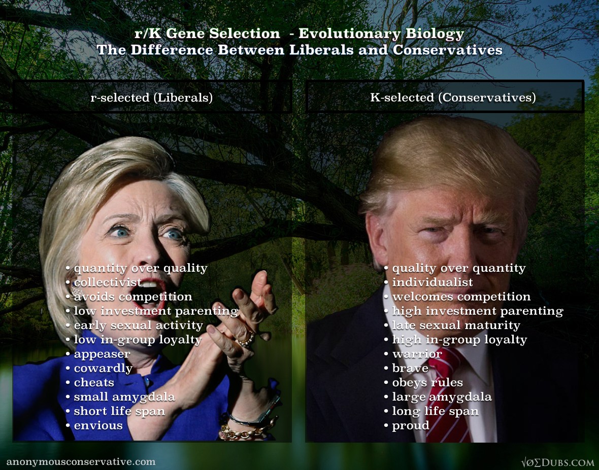 rK-Gene-Selection-Trump-HIlliary.jpg
