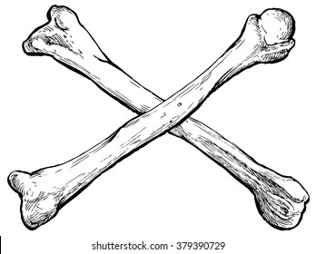 crossed-bones-hand-drawn-vector-260nw-379390729.jpg