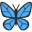 www.butterfly-method.com