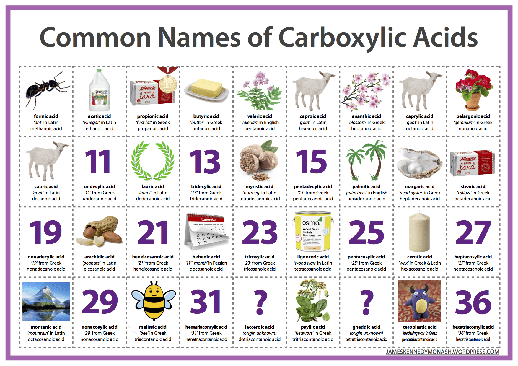 common-names-of-carboxylic-acids.png