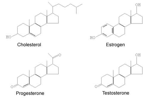 hormone-molecules.jpg