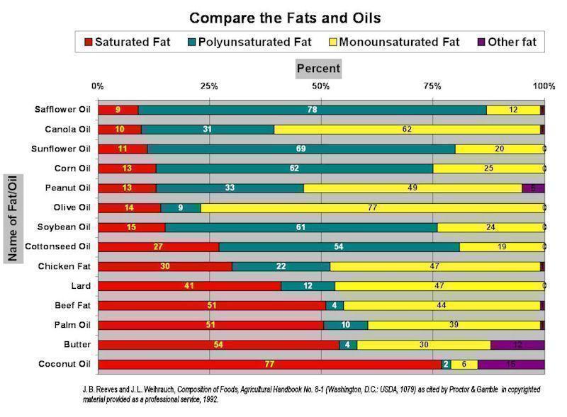fat-comparison2.jpg