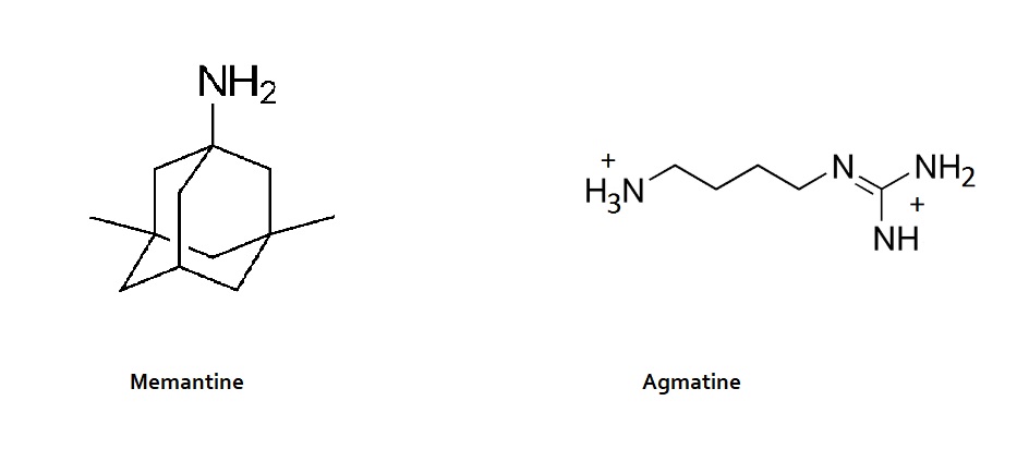 Memantine-agmatine-structure.jpg
