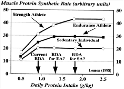 optimal-protein-intake.png