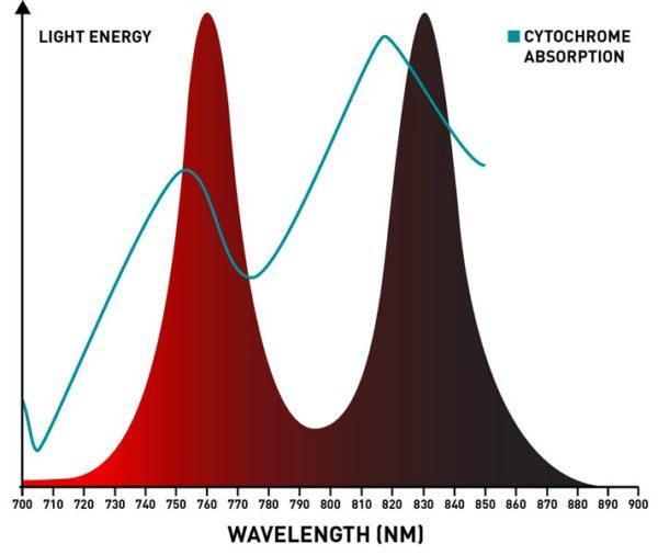 infrared-mini-wavelengths-600x506.jpg