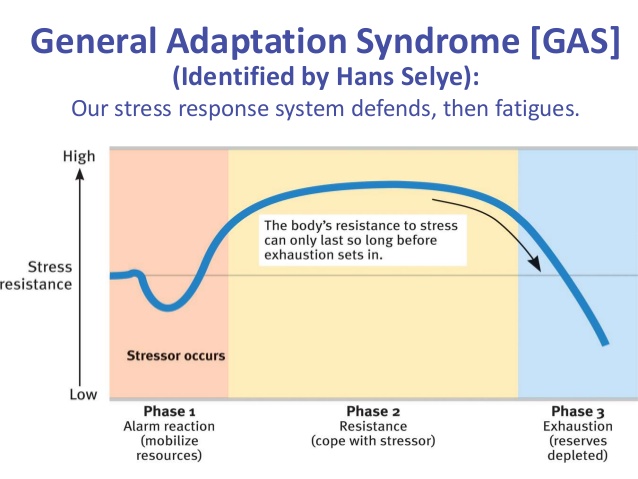 General-Adaptation-Syndrome-Stages.jpg