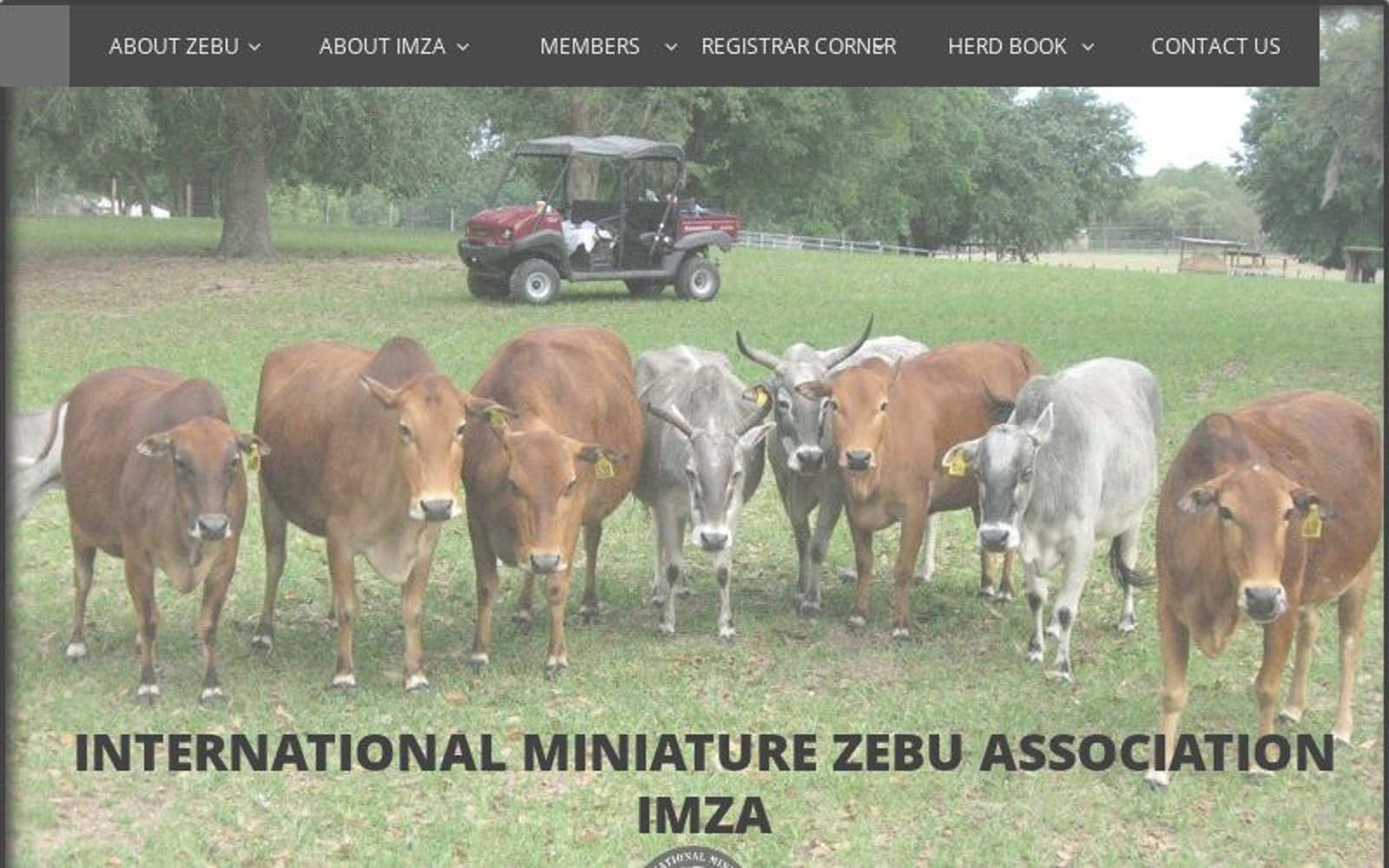 www.imza.name