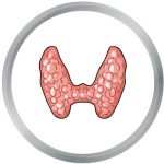 thyroidadvisor.com