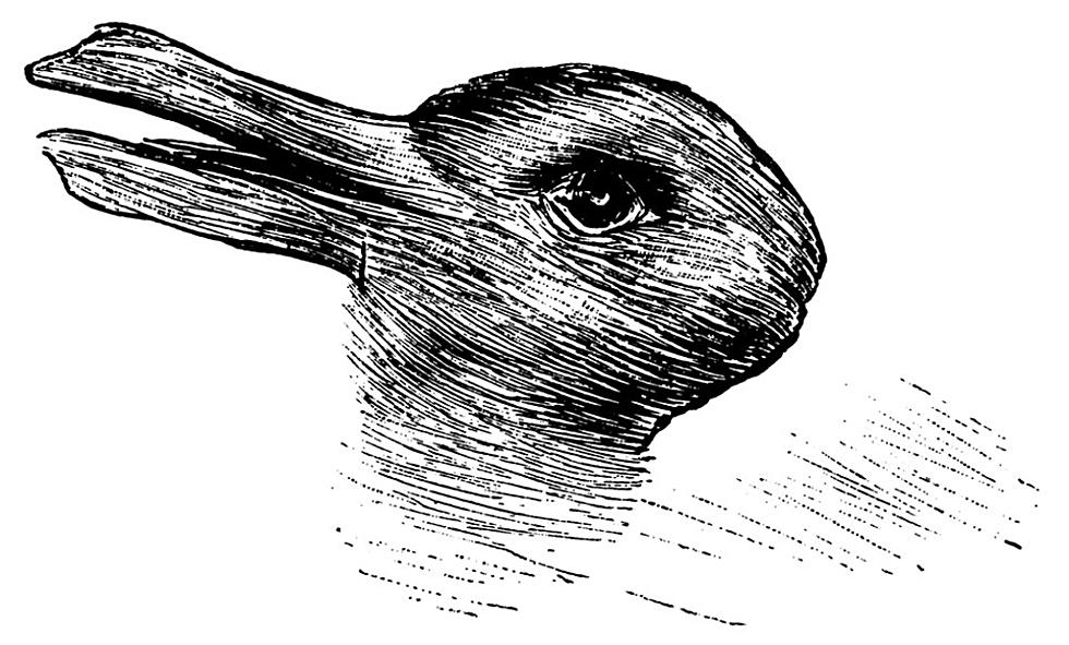 duck-rabbit.jpg