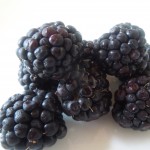 blackberries-150x150.jpg