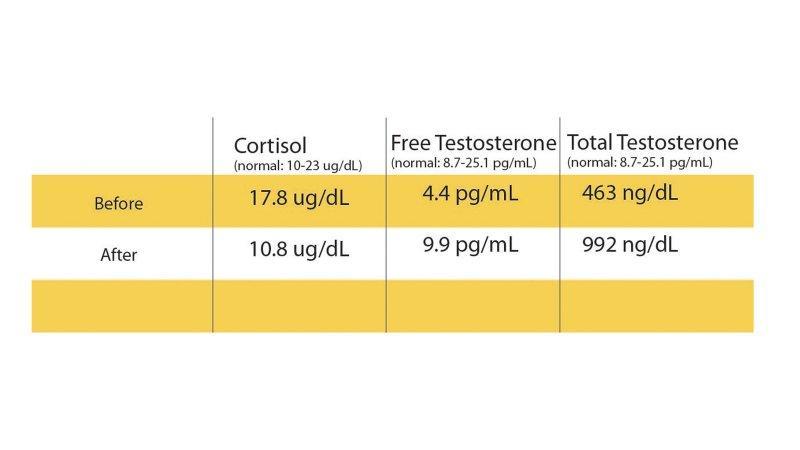 cortisol-testosterone-chart.jpg
