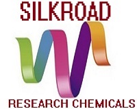 www.rc-silkroad.com