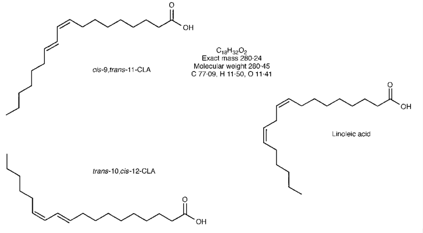Fig-1-The-structure-of-cis-9-trans-11-conjugated-linoleic-acid-CLA.png