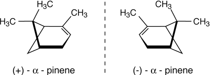 Mirror-image-of-a-pinene-enantiomers.png